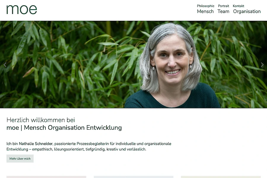 moe - Mensch Organisation Entwicklung